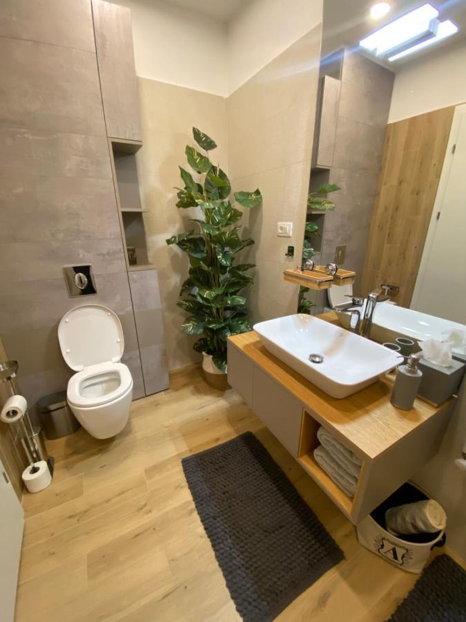 Art'penthouse Aparthotel Brasov